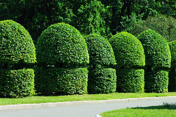 Glada kunder efter lyckad rådgivning
